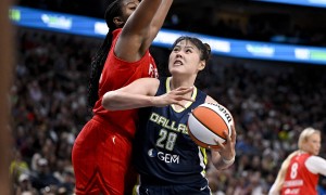 李月汝将收购一支欧洲女篮 帮更多中国球员走出去