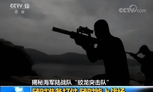 从未见过！4款国产神秘新步枪意外曝光，191枪族居然还有新型号？